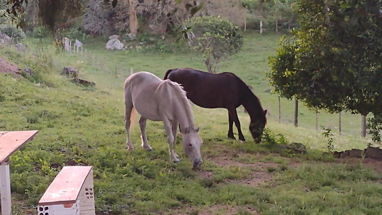 Casa & Chale Em Morro Redondo Rs Villa Екстериор снимка